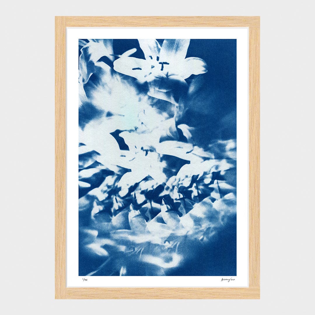 Kaleidoscope Lilies 03 Limited Edition Cyanotype by Sophia Jenny