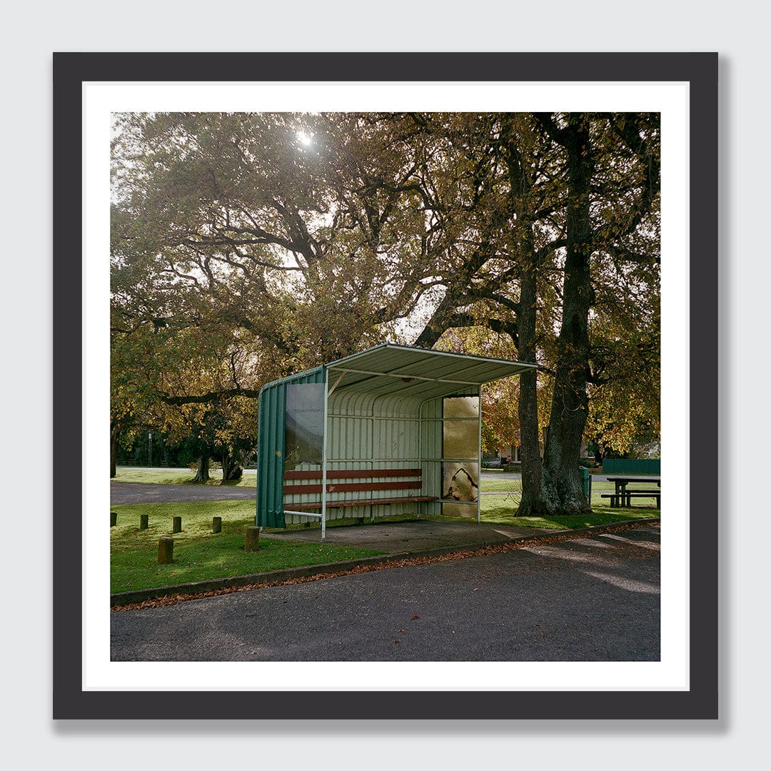 Air B and B Art Print by Curtis Bunker