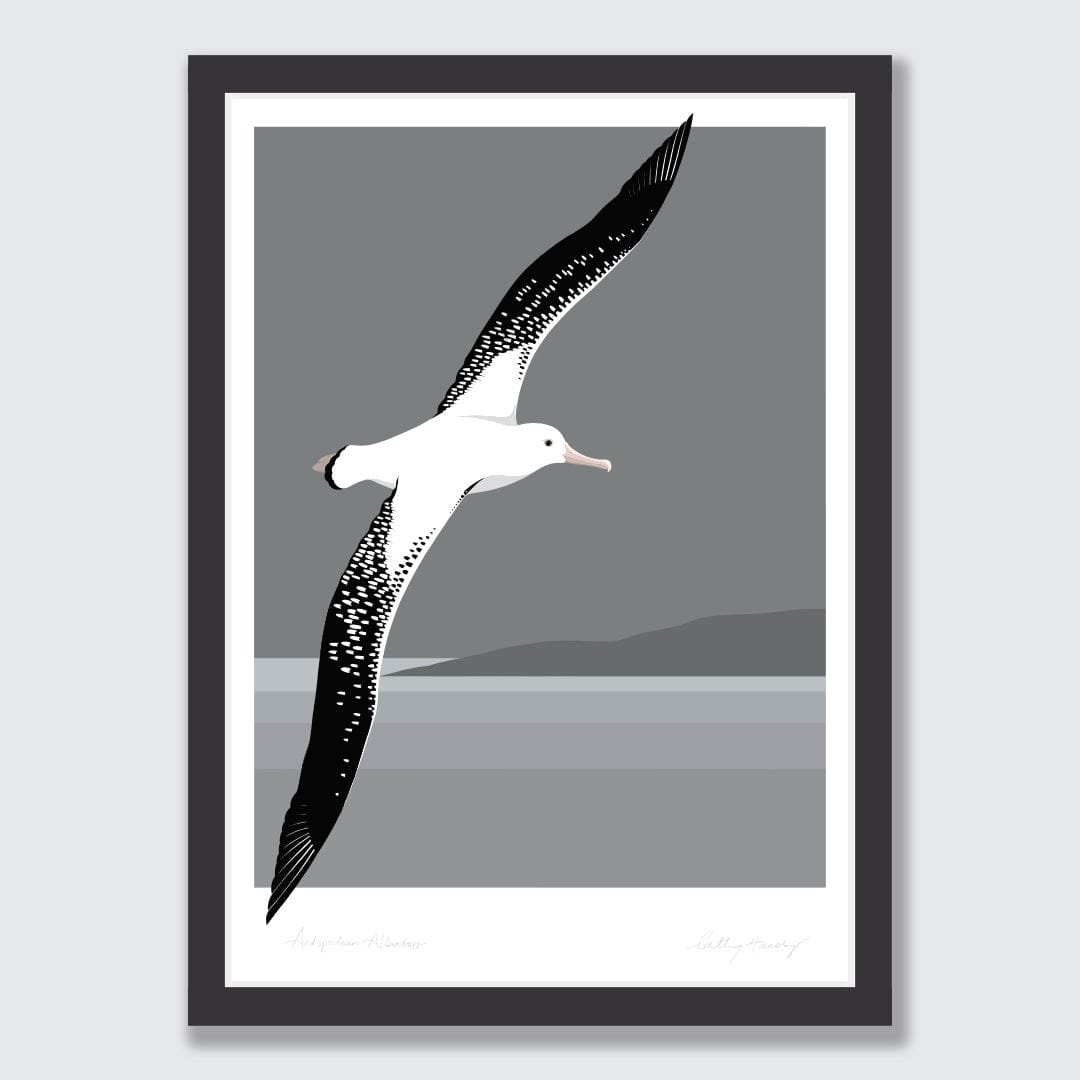 Antipodean Albatross - Toroa Art Print by Cathy Hansby