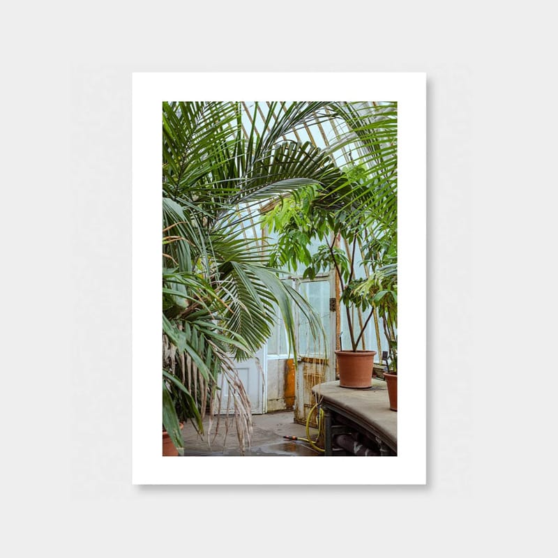 Botanical by Amy Wybrow - Art Print Test