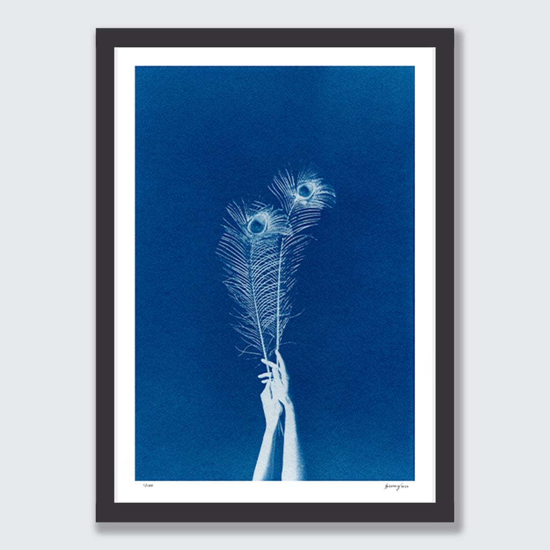 Chiaroscuro Feathers 02 Limited Edition Cyanotype by Sophia Jenny
