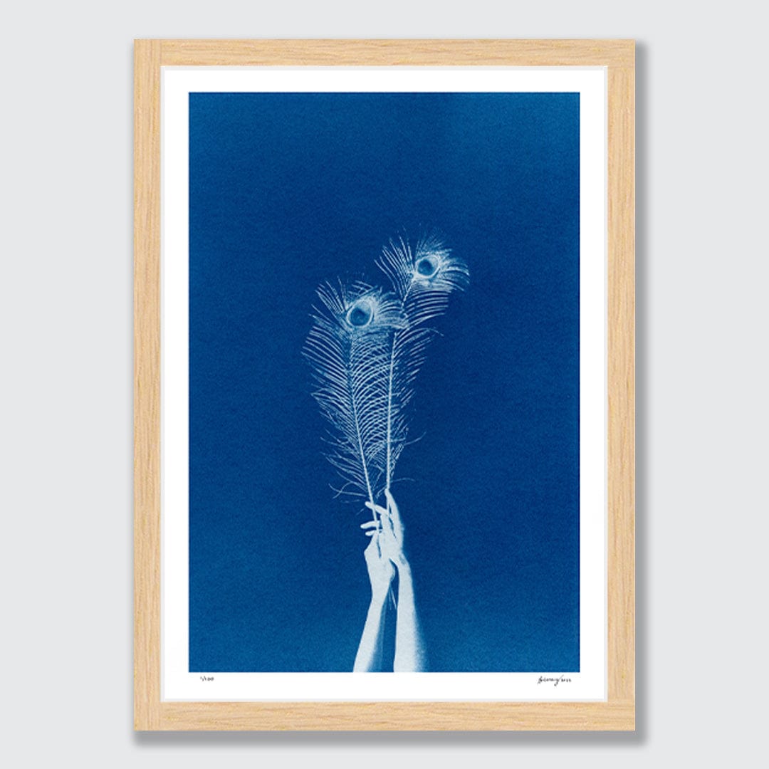 Chiaroscuro Feathers 02 Limited Edition Cyanotype by Sophia Jenny