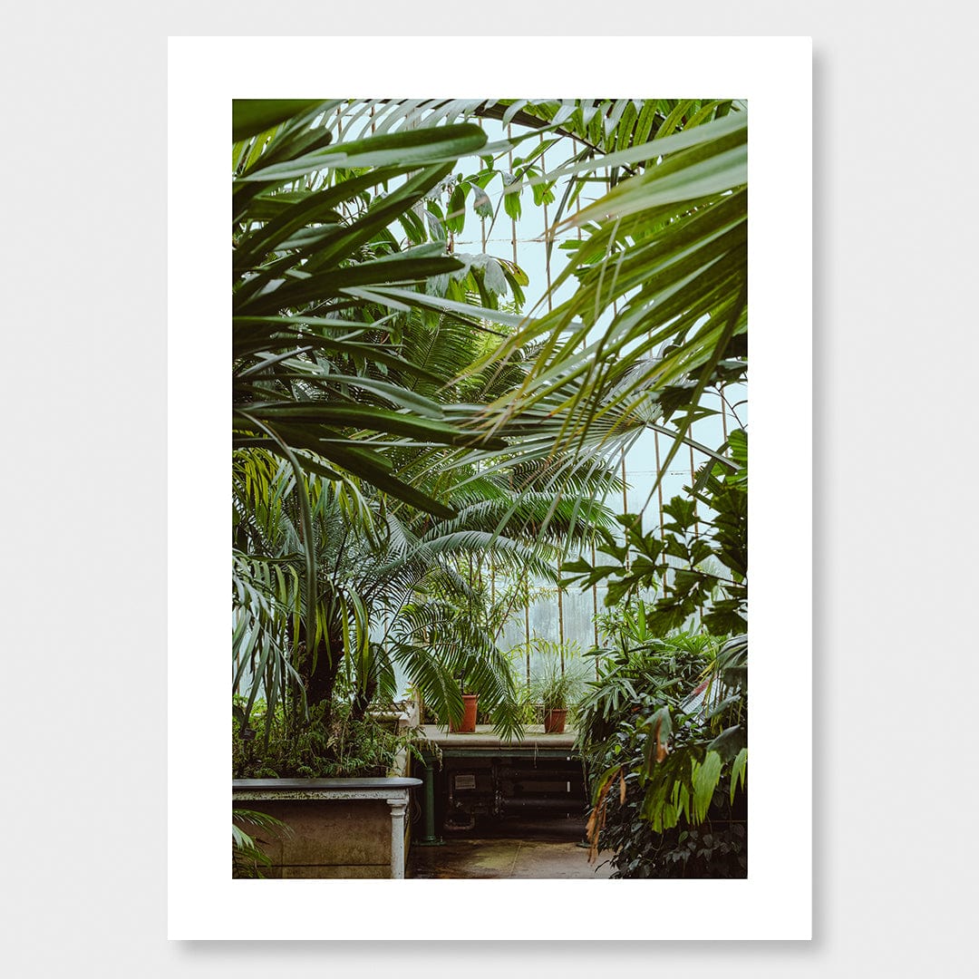Conservancy Photographic Print by Amy Wybrow