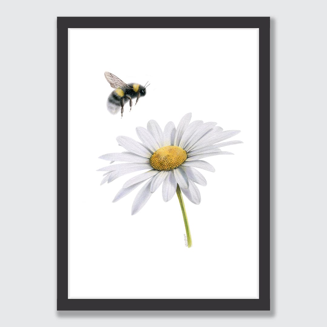 Daisy Bee Art Print by Olivia Bezett