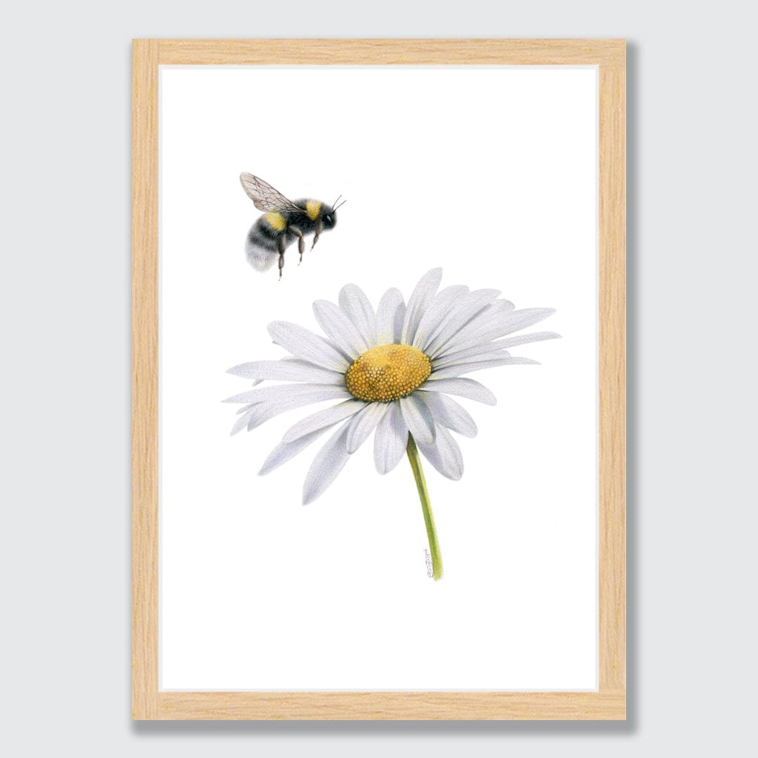 Daisy Bee Art Print by Olivia Bezett