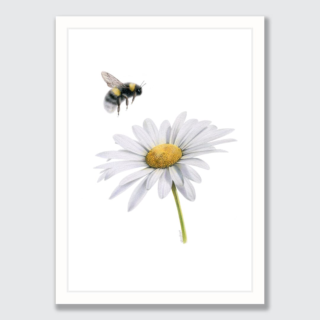 Daisy Bee Art Print by Olivia Bezett
