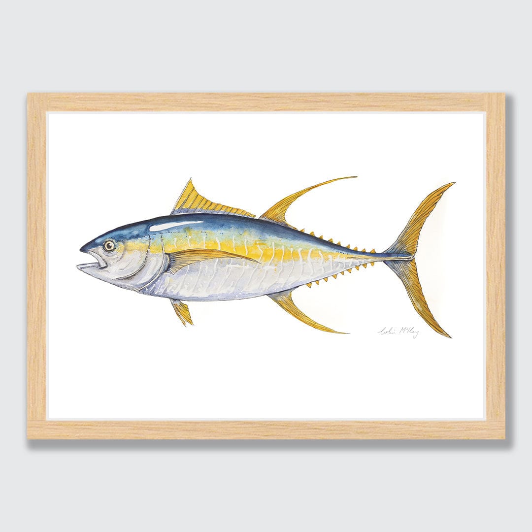 'Finny' Yellowfin Tuna Art Print by Colin McKay