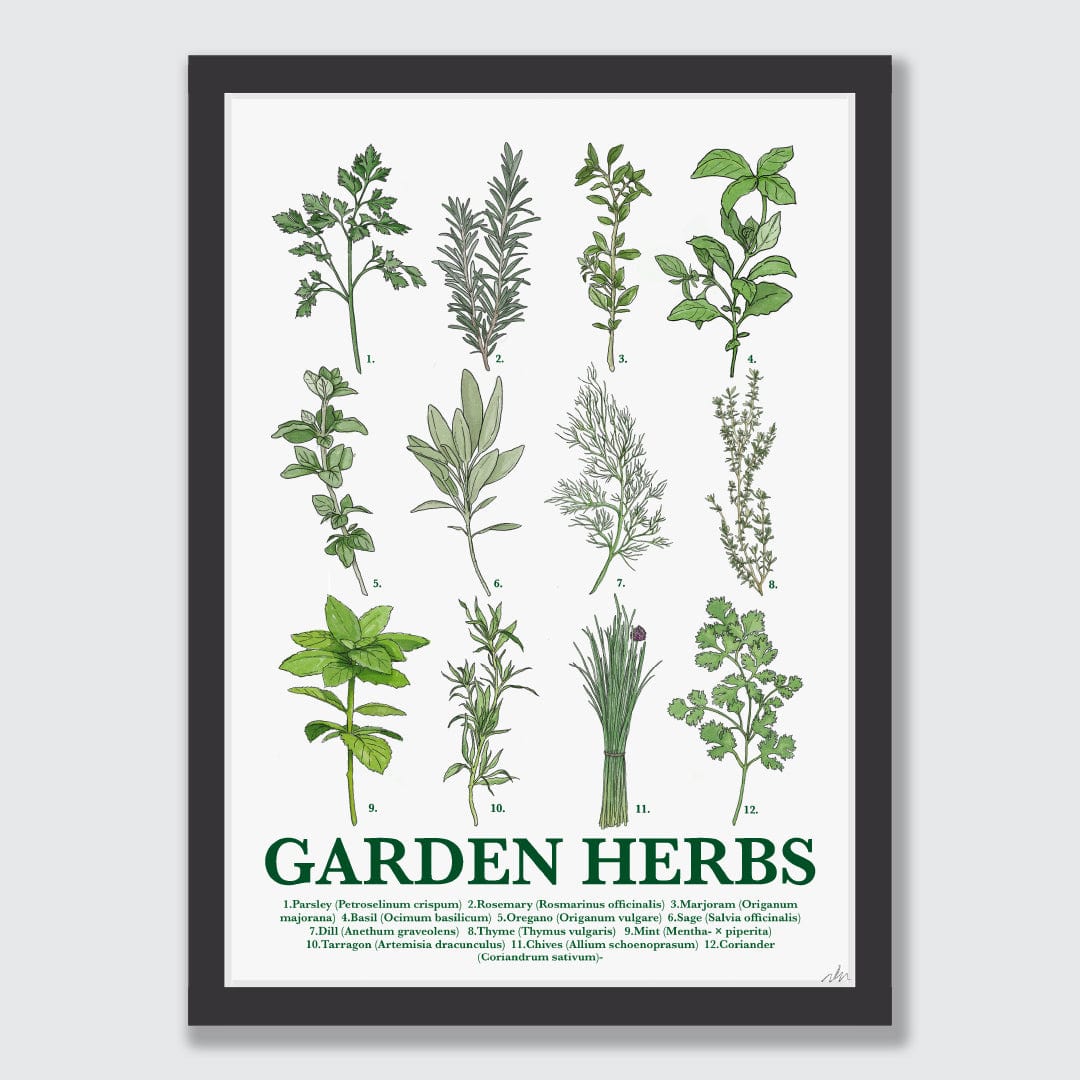 Garden Herbs Art Print by Nathan Miller