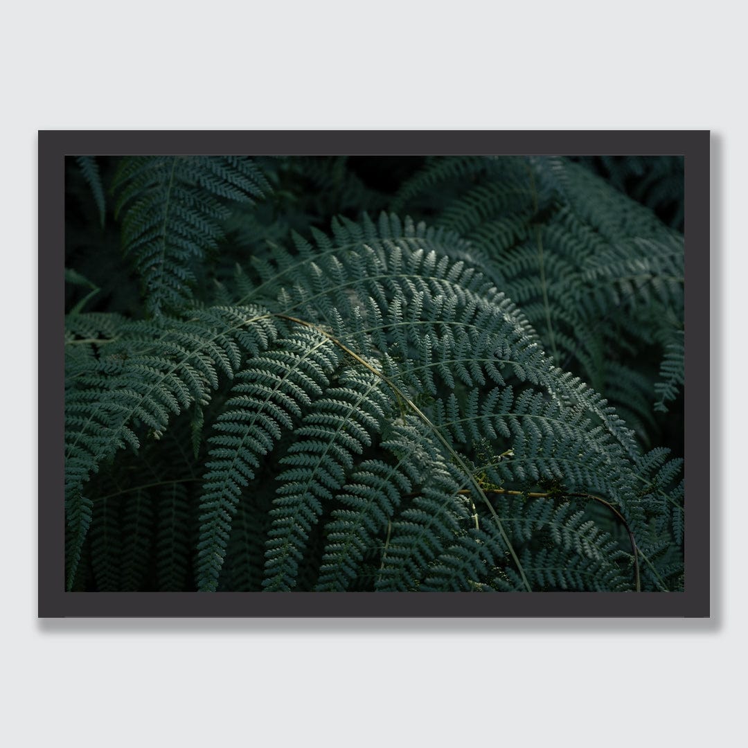 Hāwea Ferns Photographic Art Print by Elliot Alexander