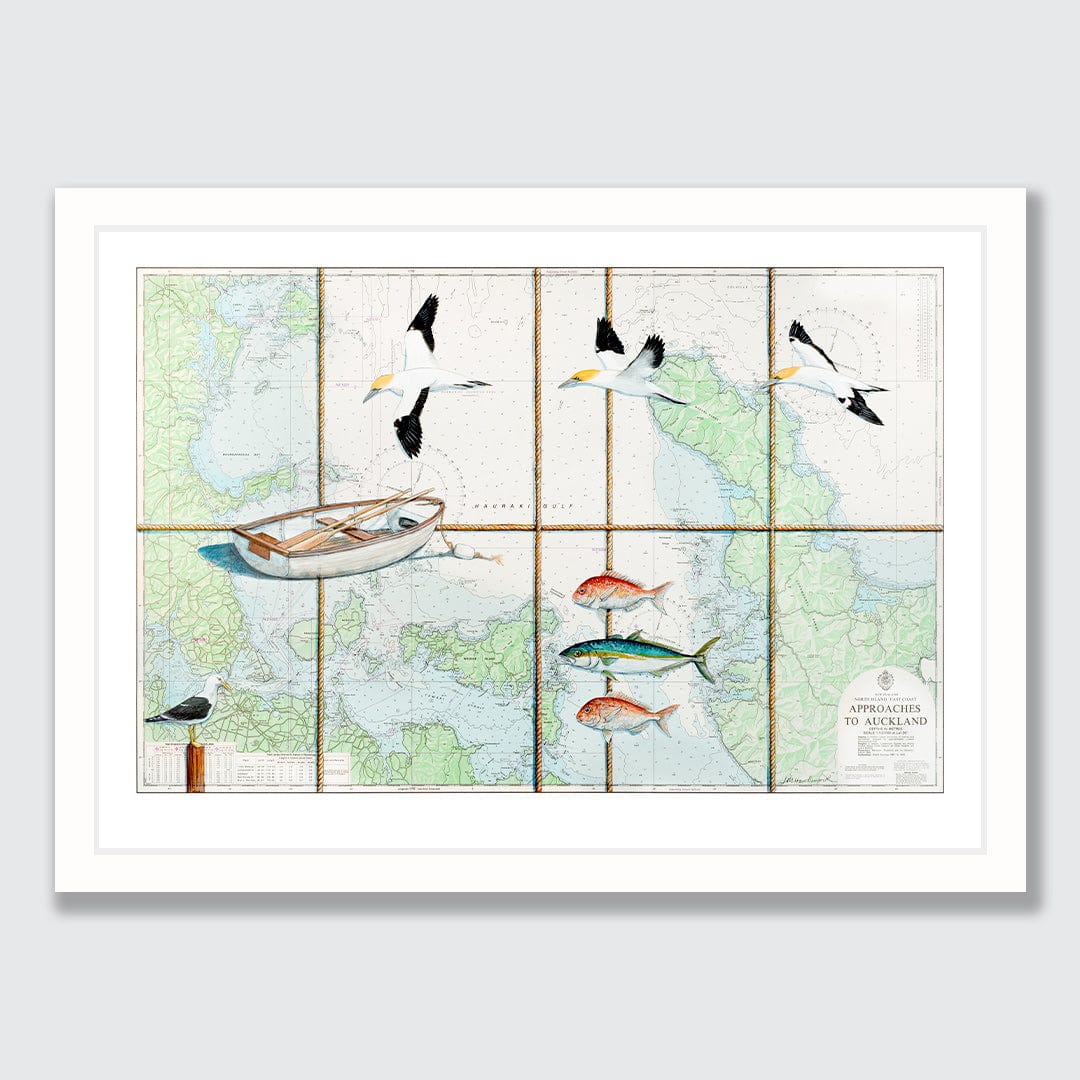 Hauraki Gulf Gannets Limited Edition Art Print by Justine Hawksworth