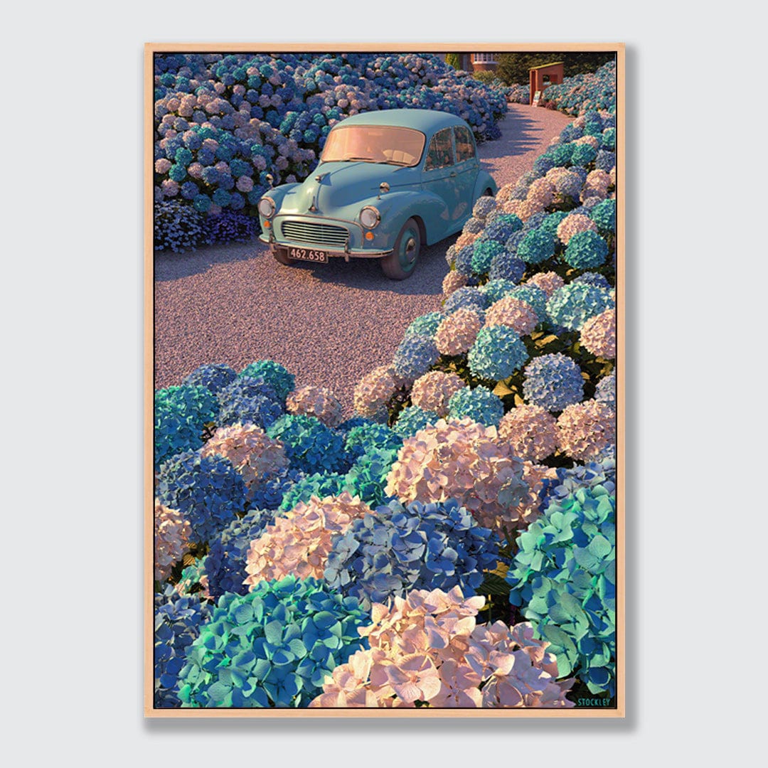 Hydrangea Drive Limited Edition Canvas Print by Simon Stockley