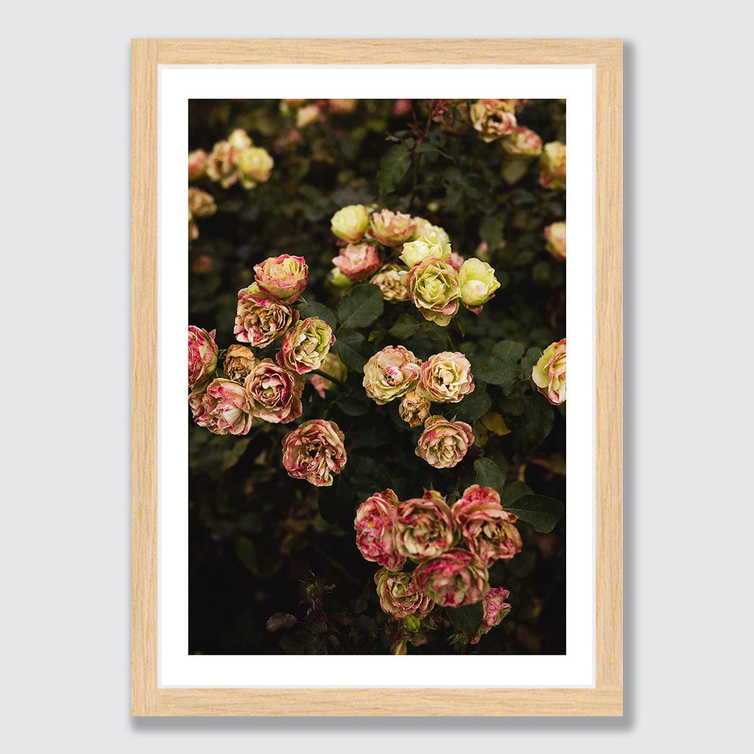 Ina Photographic Art Print by Charlotte Clements