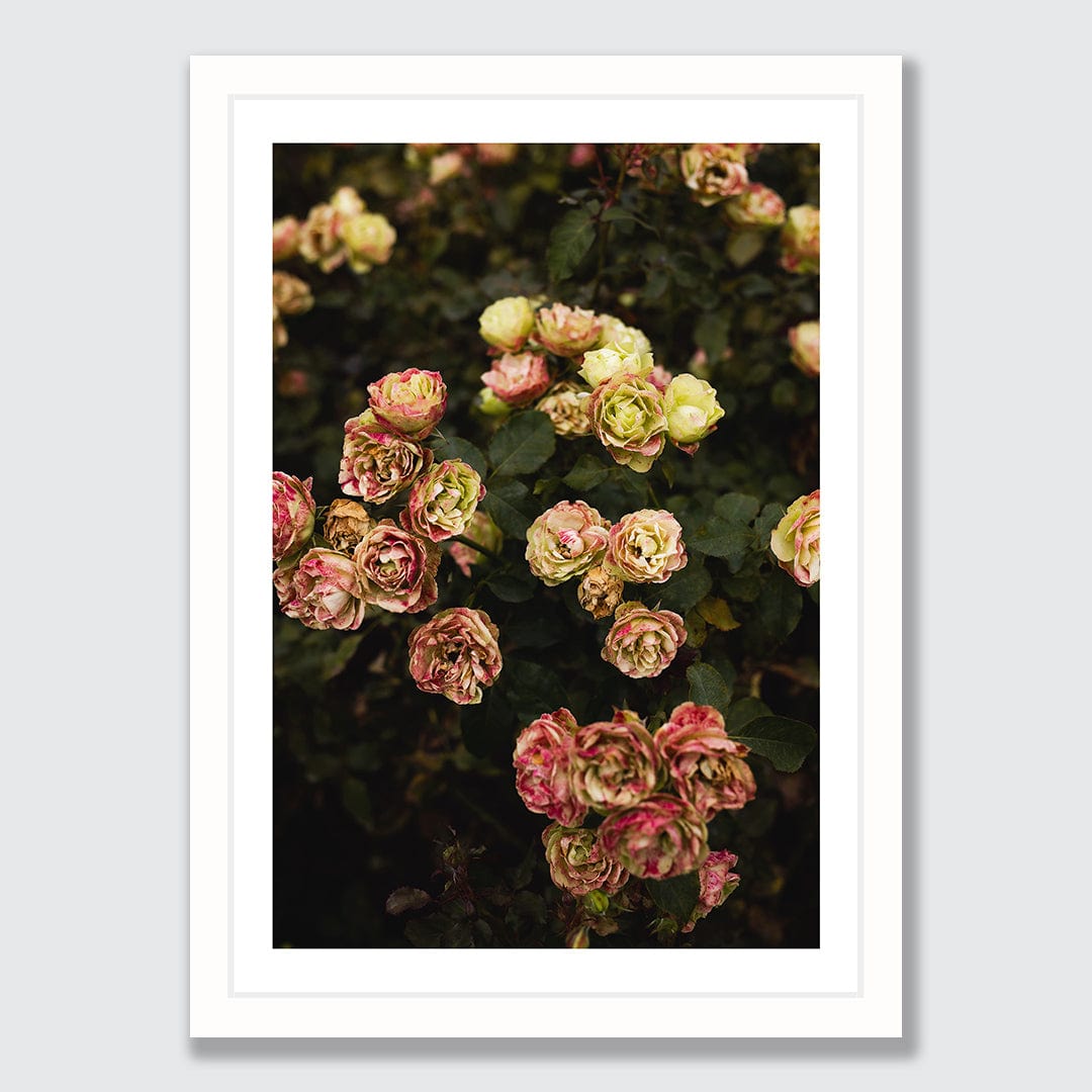Ina Photographic Art Print by Charlotte Clements