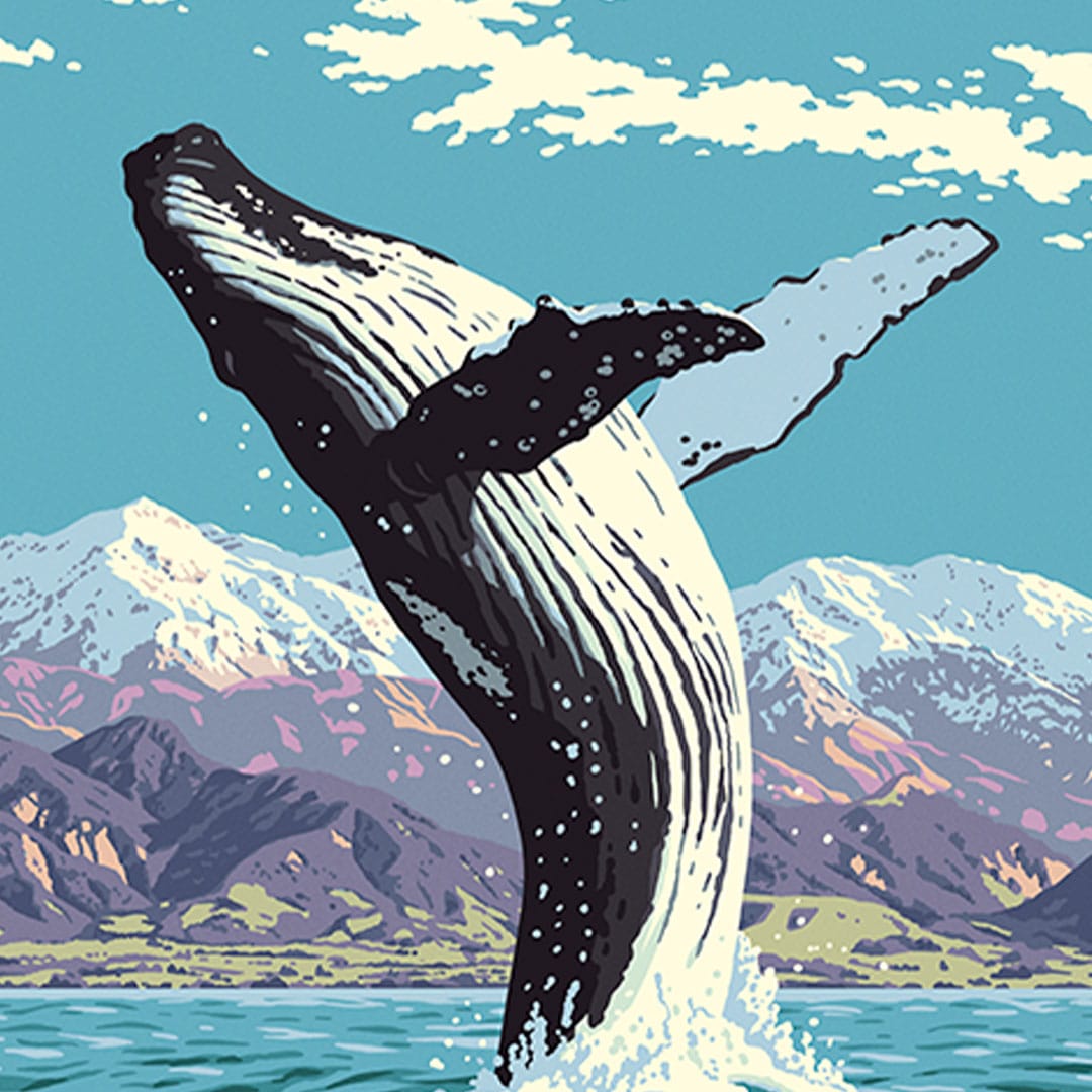 Kaikōura Art Print by Ross Murray