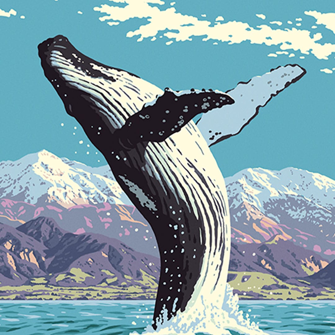 Kaikōura Art Print by Ross Murray