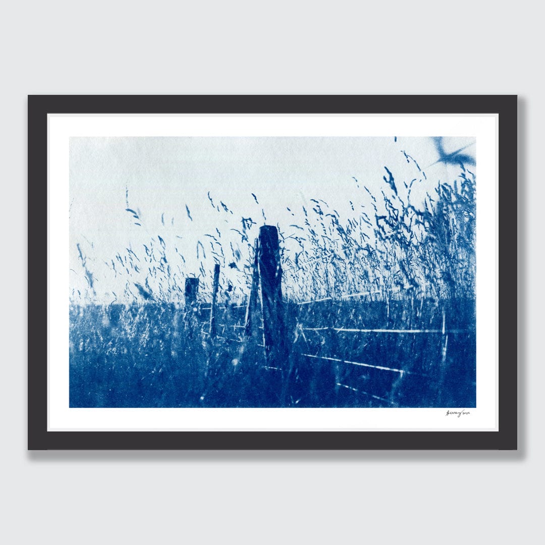 Kaikoura Hills Cyanotype by Sophia Jenny