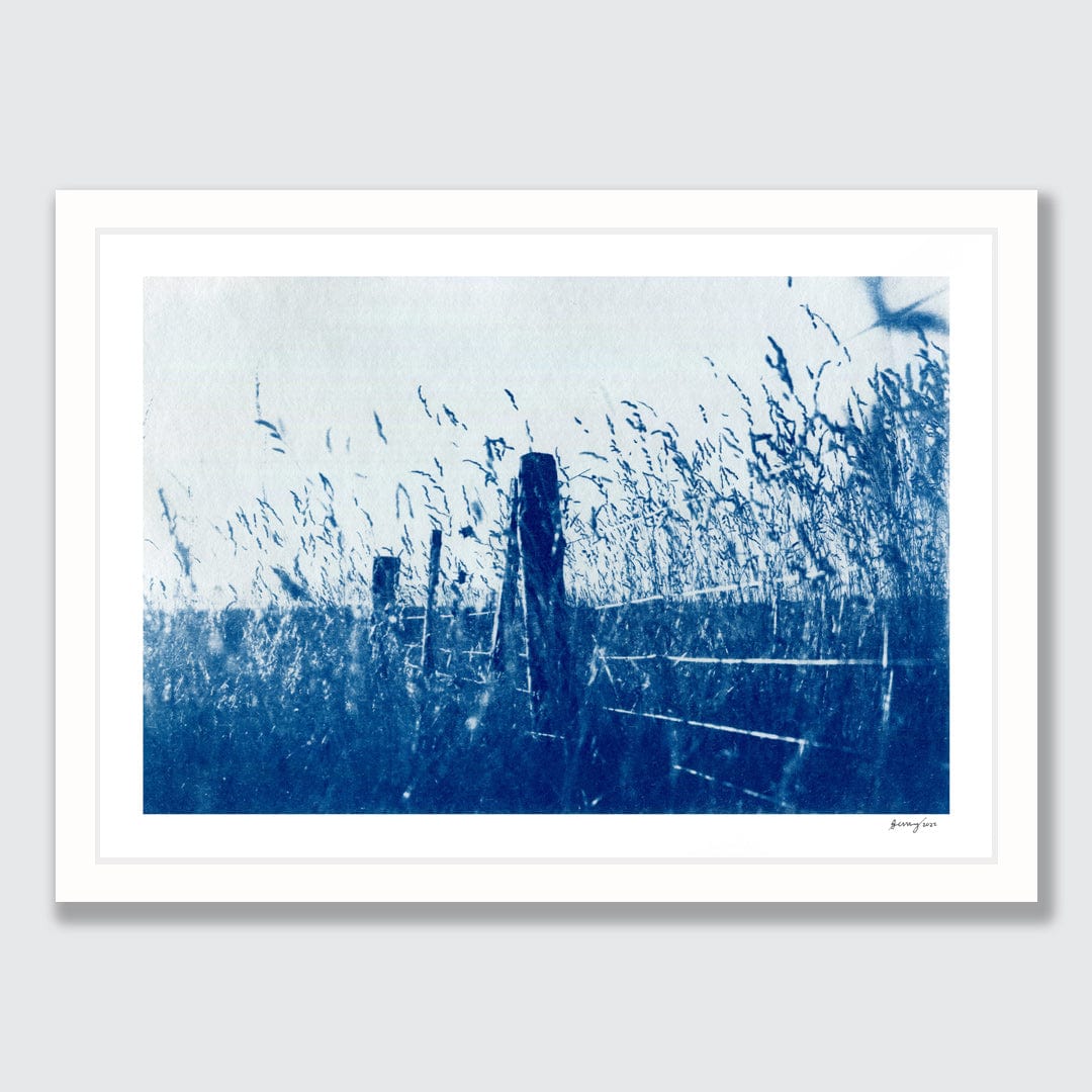 Kaikoura Hills Cyanotype by Sophia Jenny