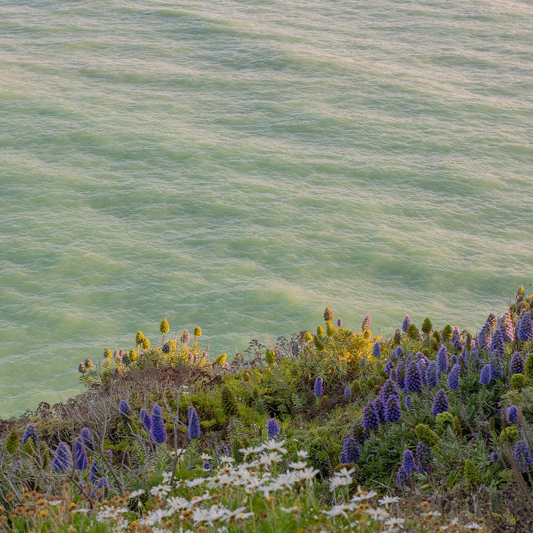 Meet Me by the Sea Photographic Art Print by Charlotte Clements