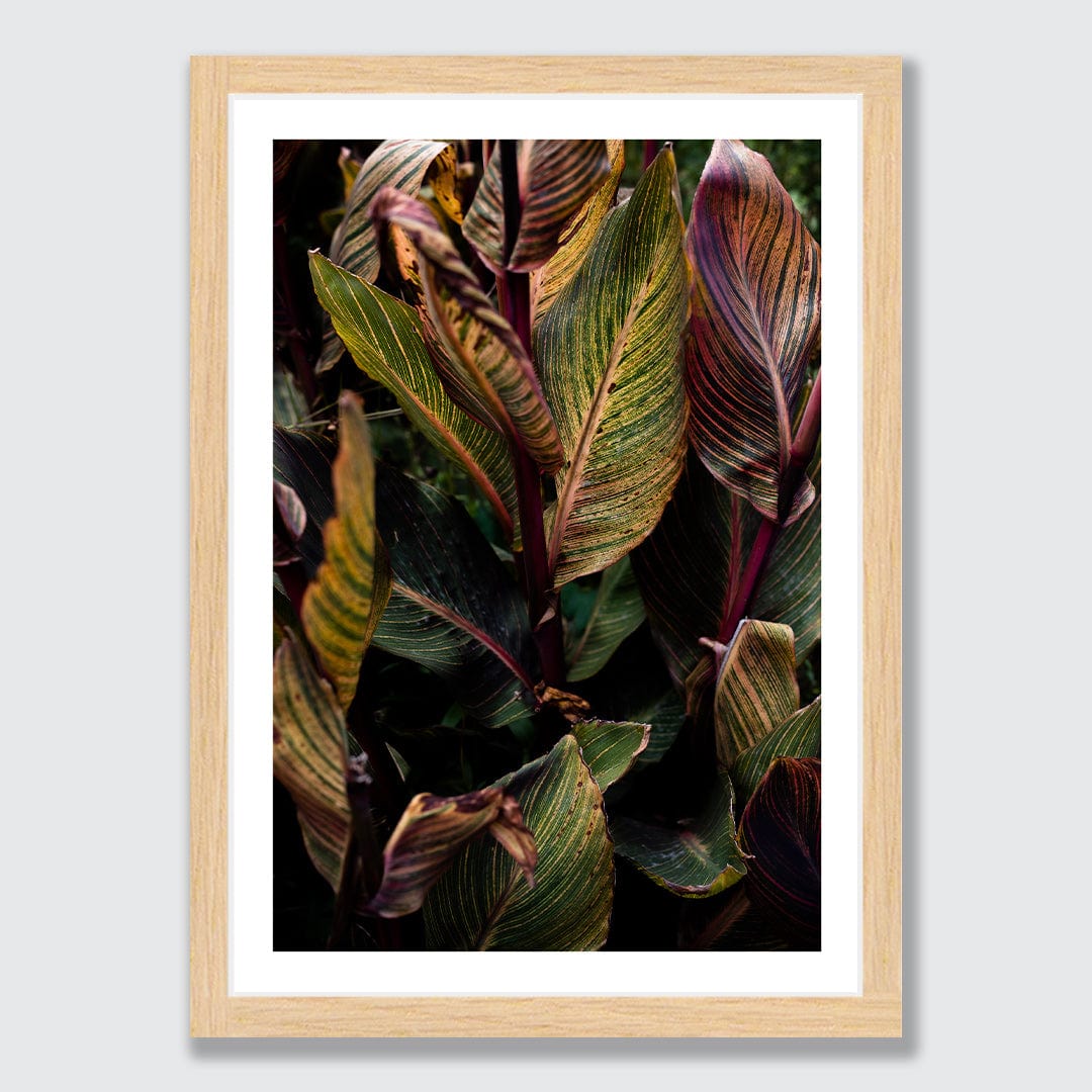 Roman Photographic Art Print by Charlotte Clements