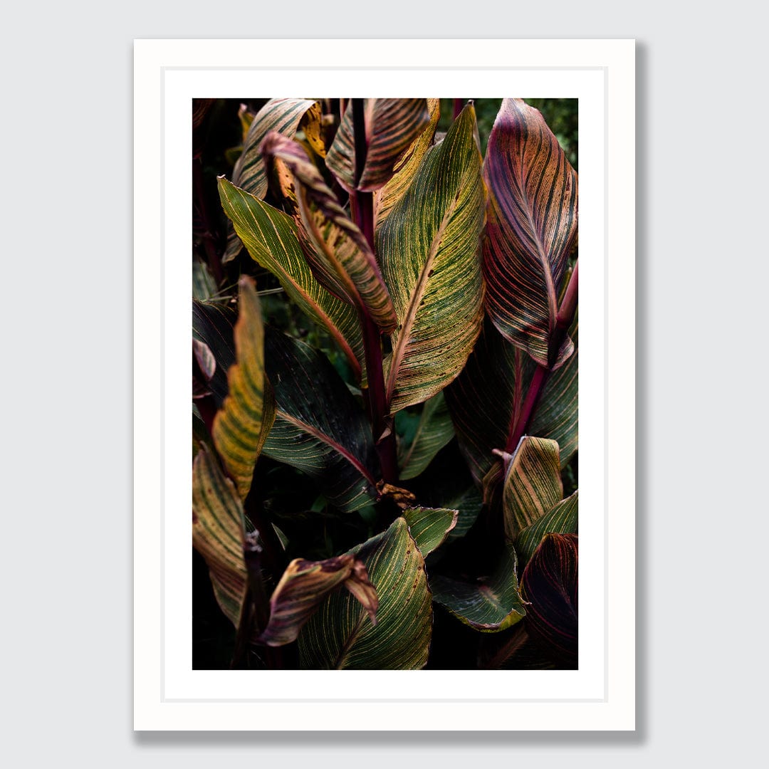 Roman Photographic Art Print by Charlotte Clements