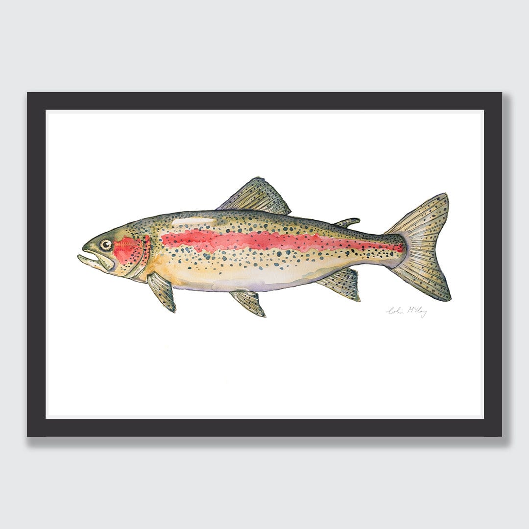 'Ron' Rainbow Trout Art Print by Colin McKay