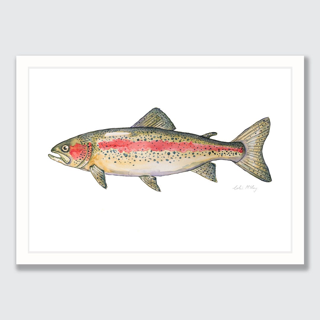 'Ron' Rainbow Trout Art Print by Colin McKay