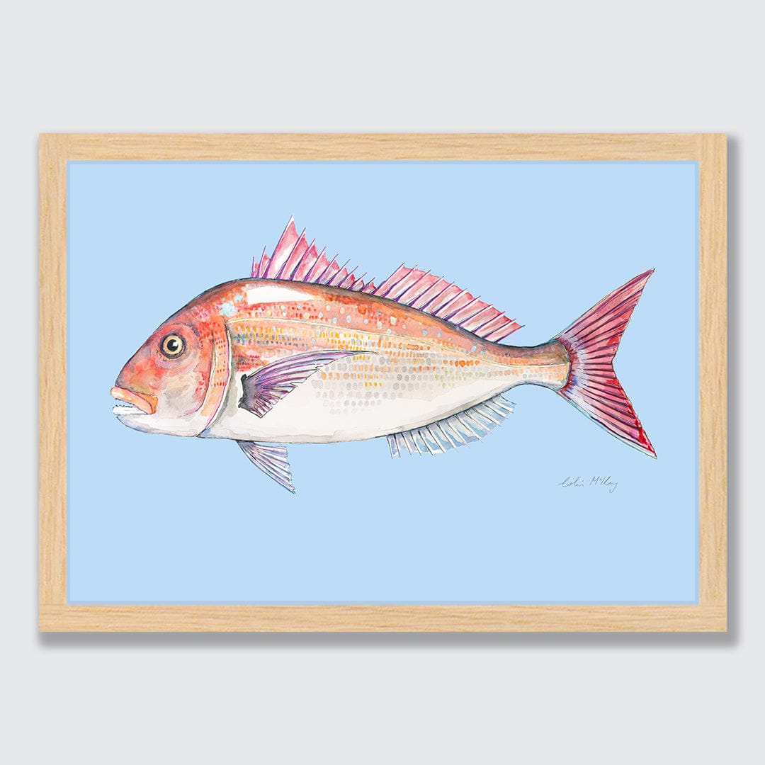 'Snip' Snapper (Blue background) Art Print by Colin McKay