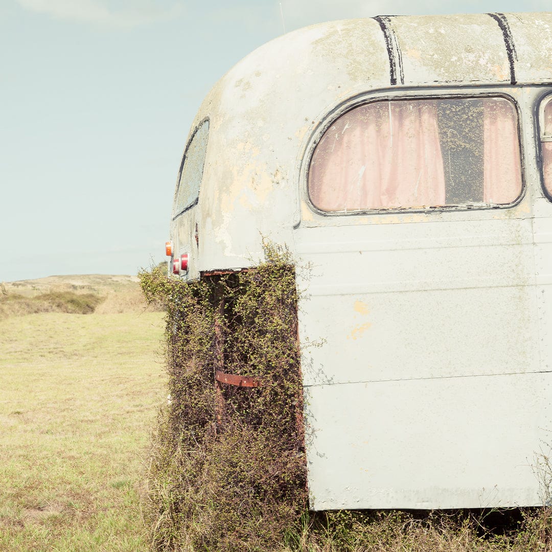 Summer 4 Photographic Print by Giona Bridler