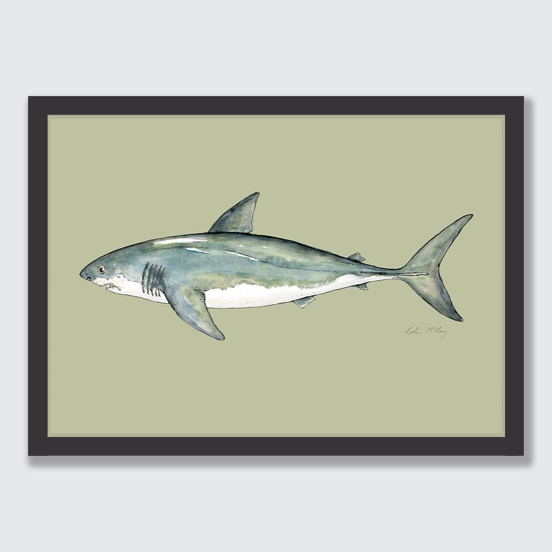'Susie' Great White Shark (Olive background) Art Print by Colin McKay