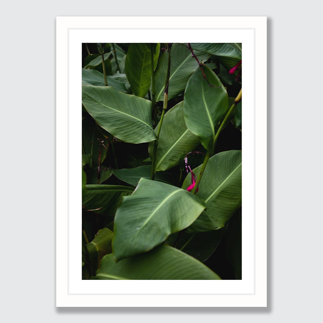 Verdant Photographic Art Print by Charlotte Clements