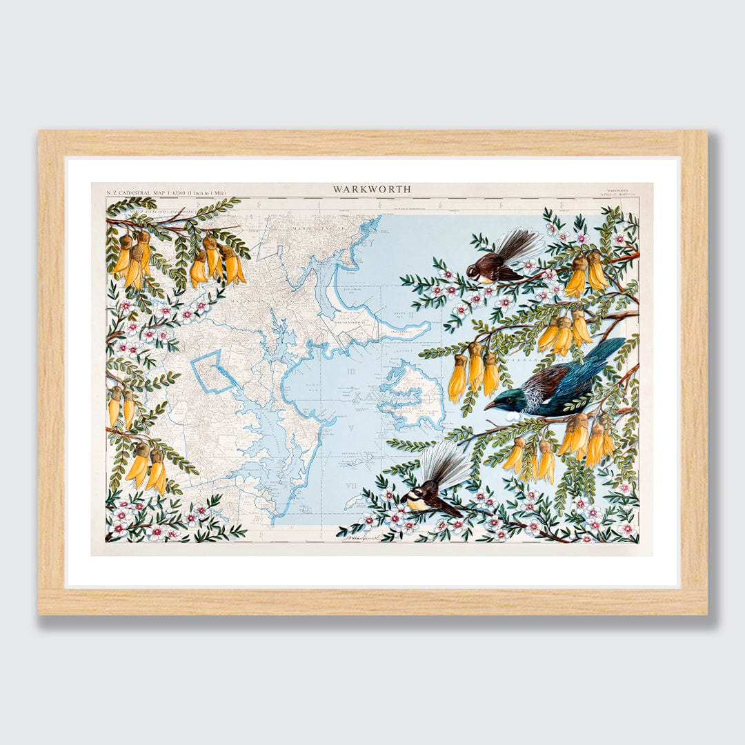 Warkworth Kowhai Limited Edition Art Print by Justine Hawksworth