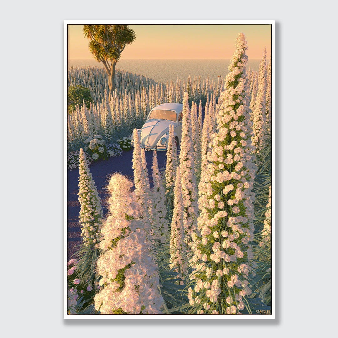 Echium Drive Limited Edition Canvas Print by Simon Stockley