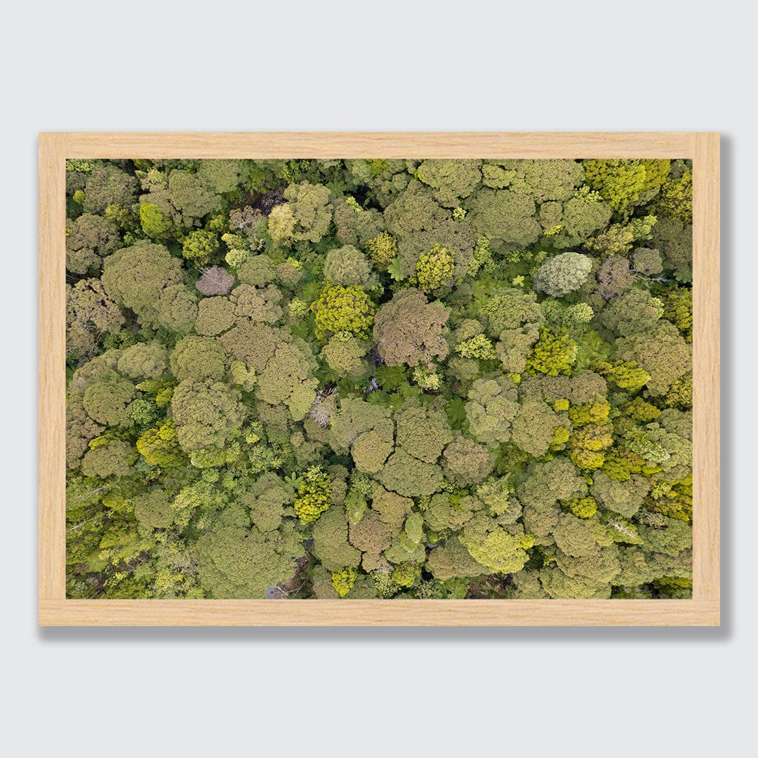 Green Your Greens Photographic Print by Jeremy Cole