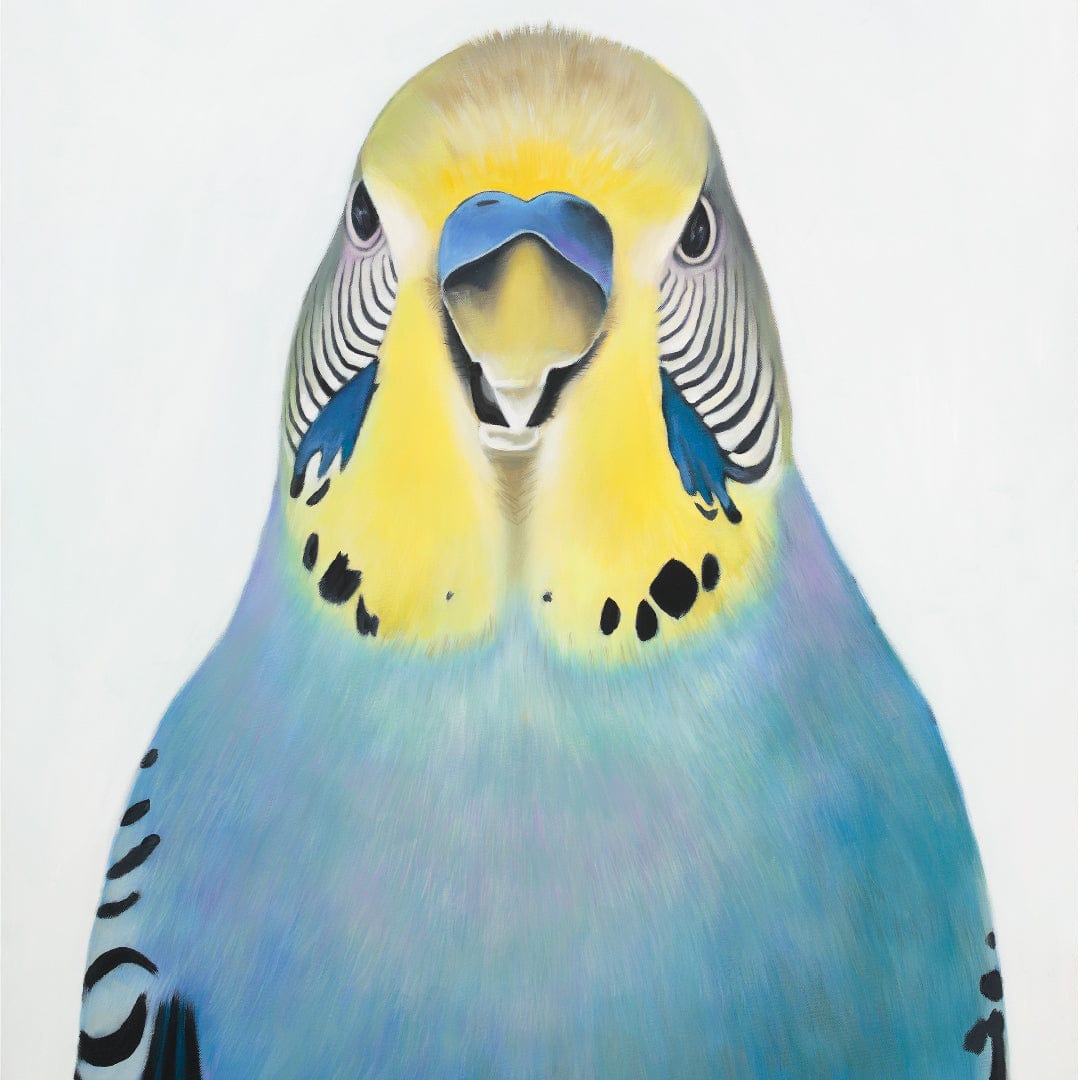 Edgar Budgie Art Print by Margaret Petchell