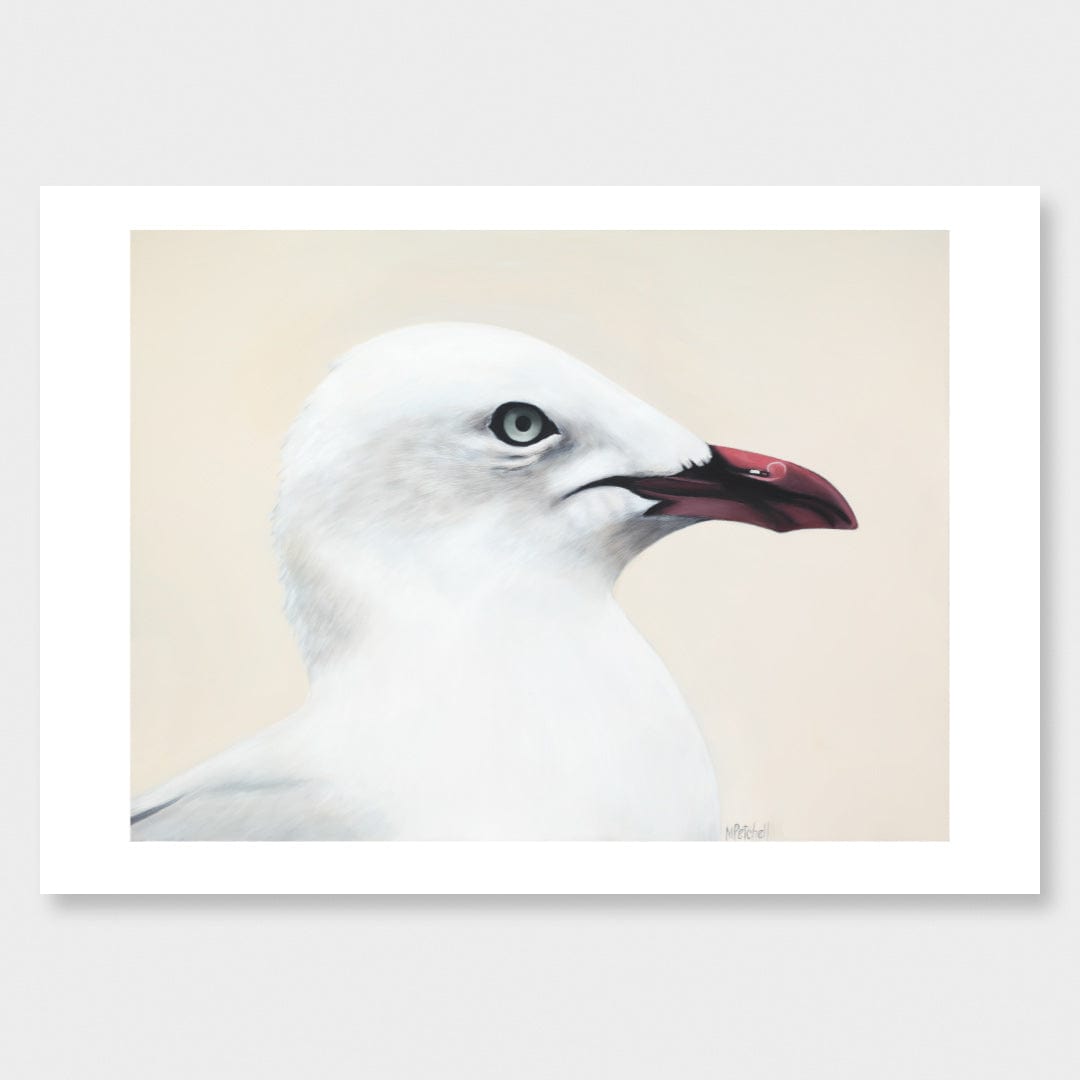 Gallileo Seagull Art Print by Margaret Petchell