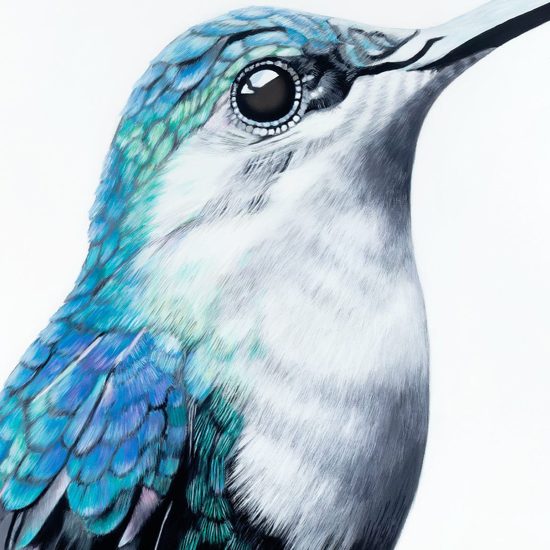 Gerald Hummingbird Art Print by Margaret Petchell
