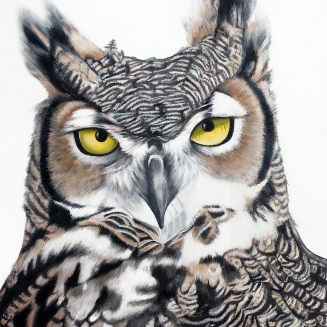 Herbert Owl Art Print by Margaret Petchell