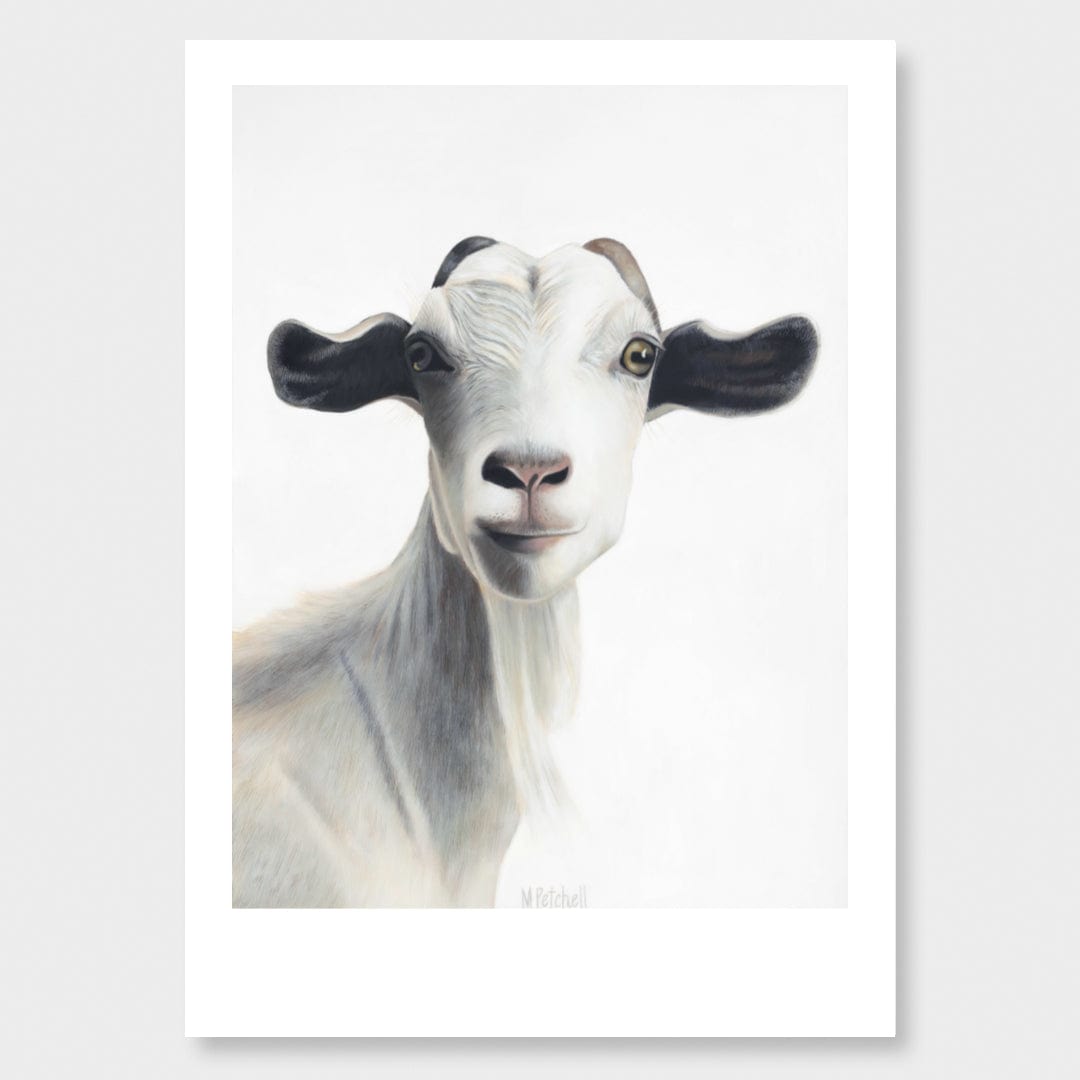 Morgan Goat Art Print by Margaret Petchell