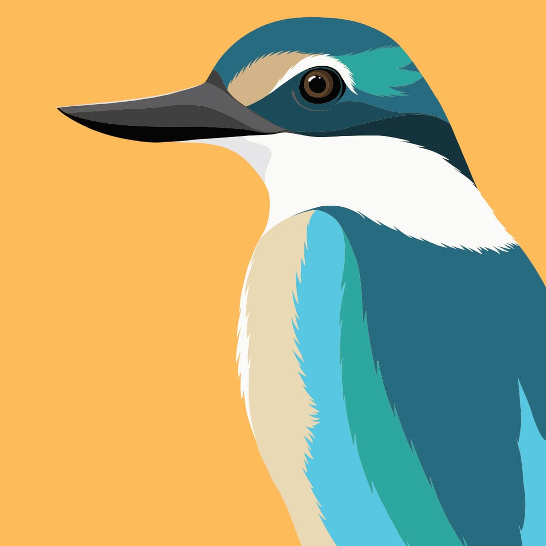 Sacred Kingfisher - Kotare Art Print by Cathy Hansby