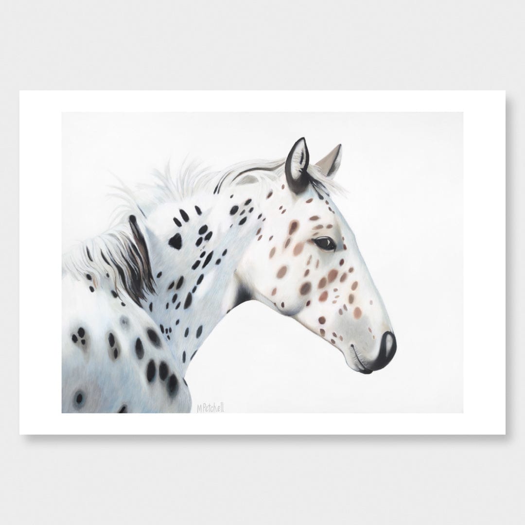Stetson Horse Art Print by Margaret Petchell