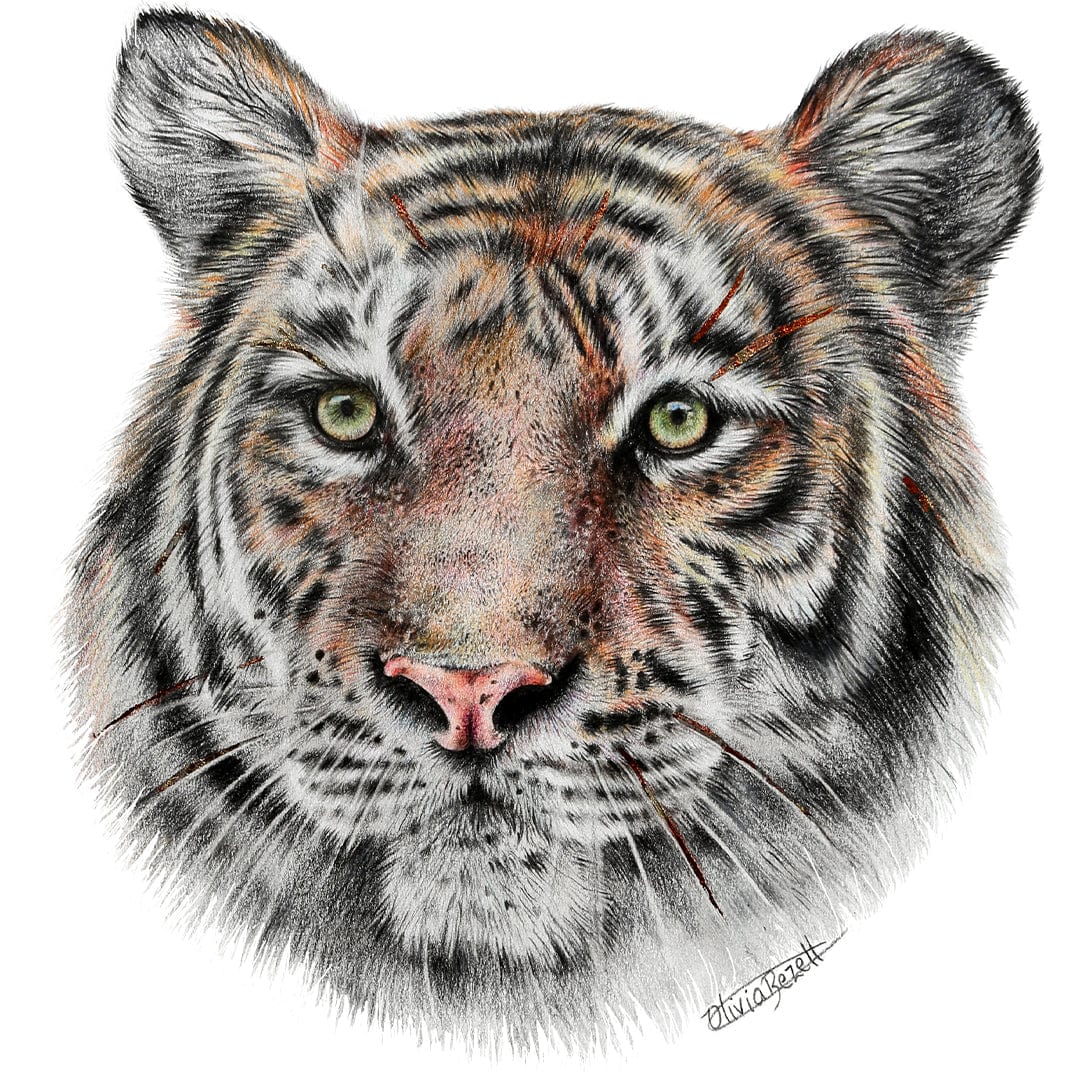 Tiger Art Print by Olivia Bezett