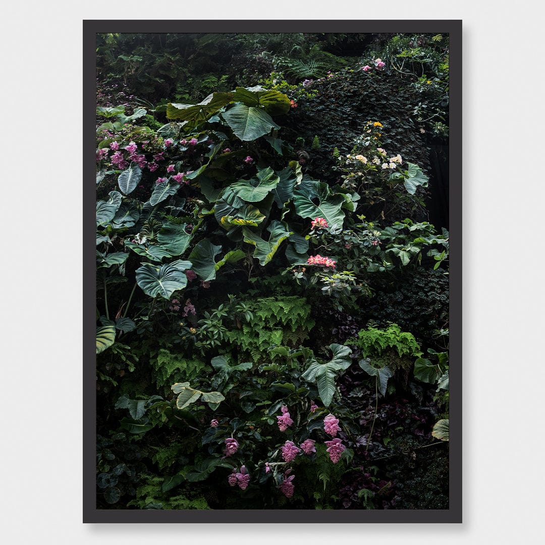 Alchemy II Limited Edition Photographic Print by Amy Wybrow