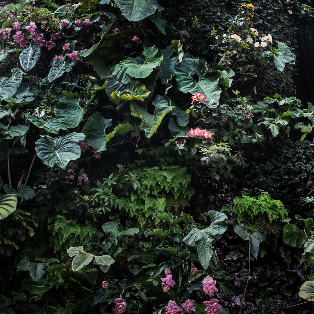 Alchemy II Limited Edition Photographic Print by Amy Wybrow