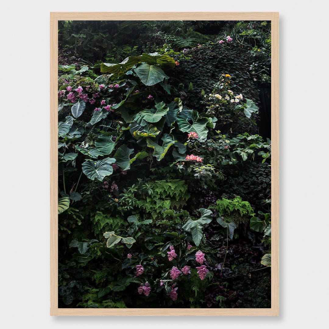 Alchemy II Limited Edition Photographic Print by Amy Wybrow