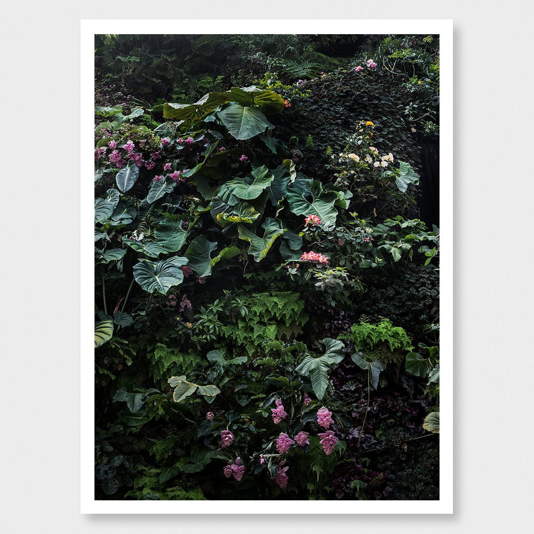 Alchemy II Limited Edition Photographic Print by Amy Wybrow