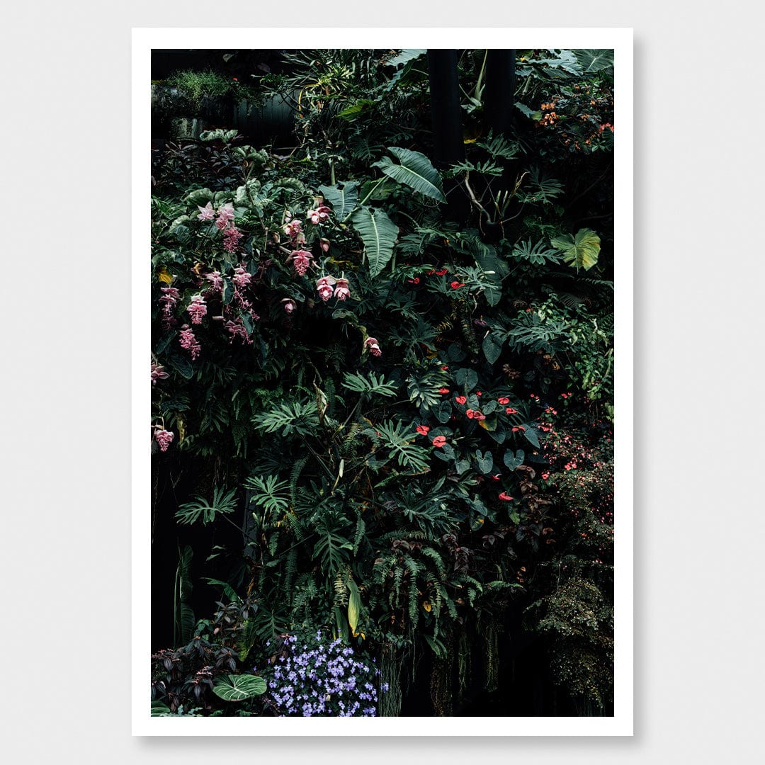 Alchemy I Limited Edition Photographic Print by Amy Wybrow