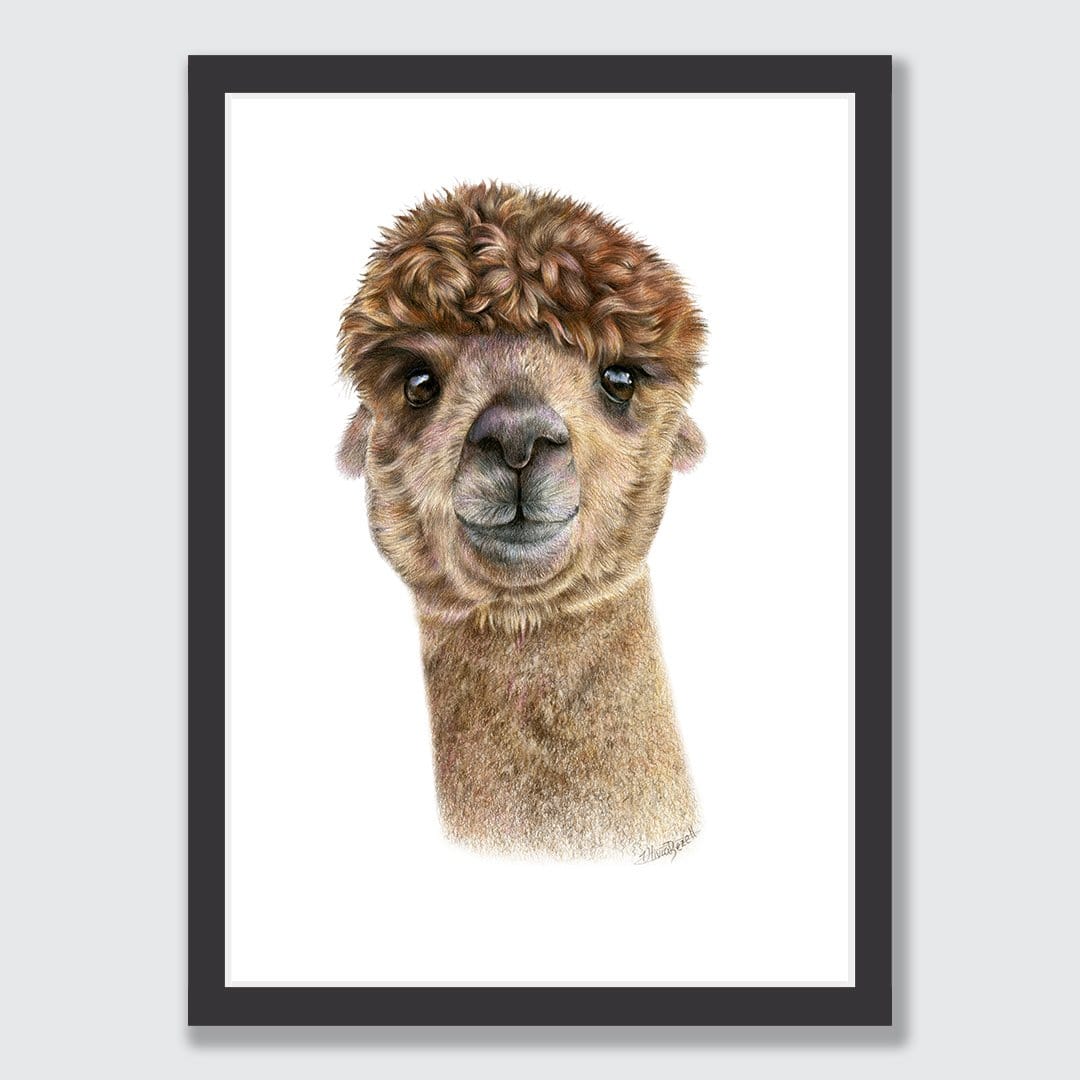 Alpaca Art Print by Olivia Bezett
