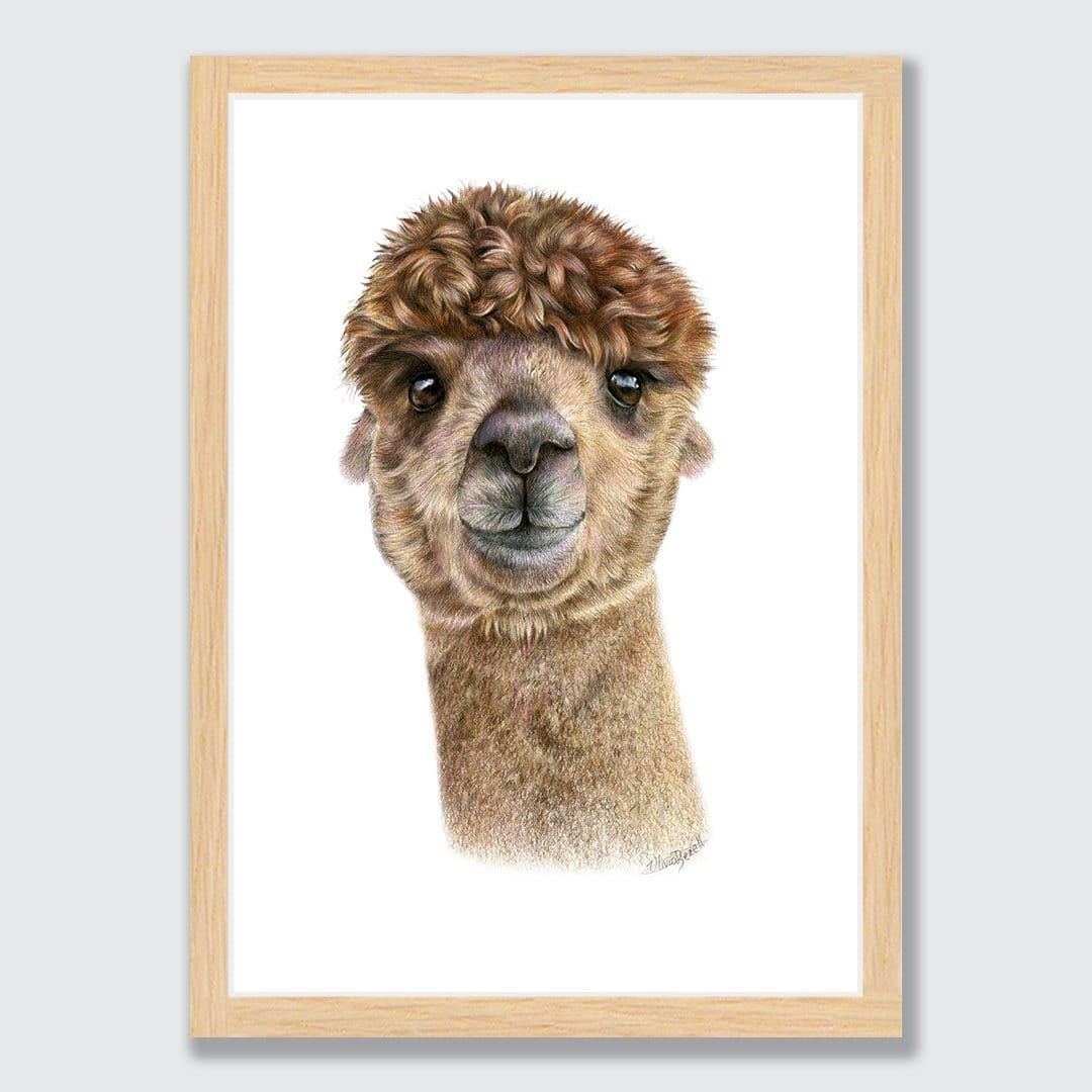Alpaca Art Print by Olivia Bezett