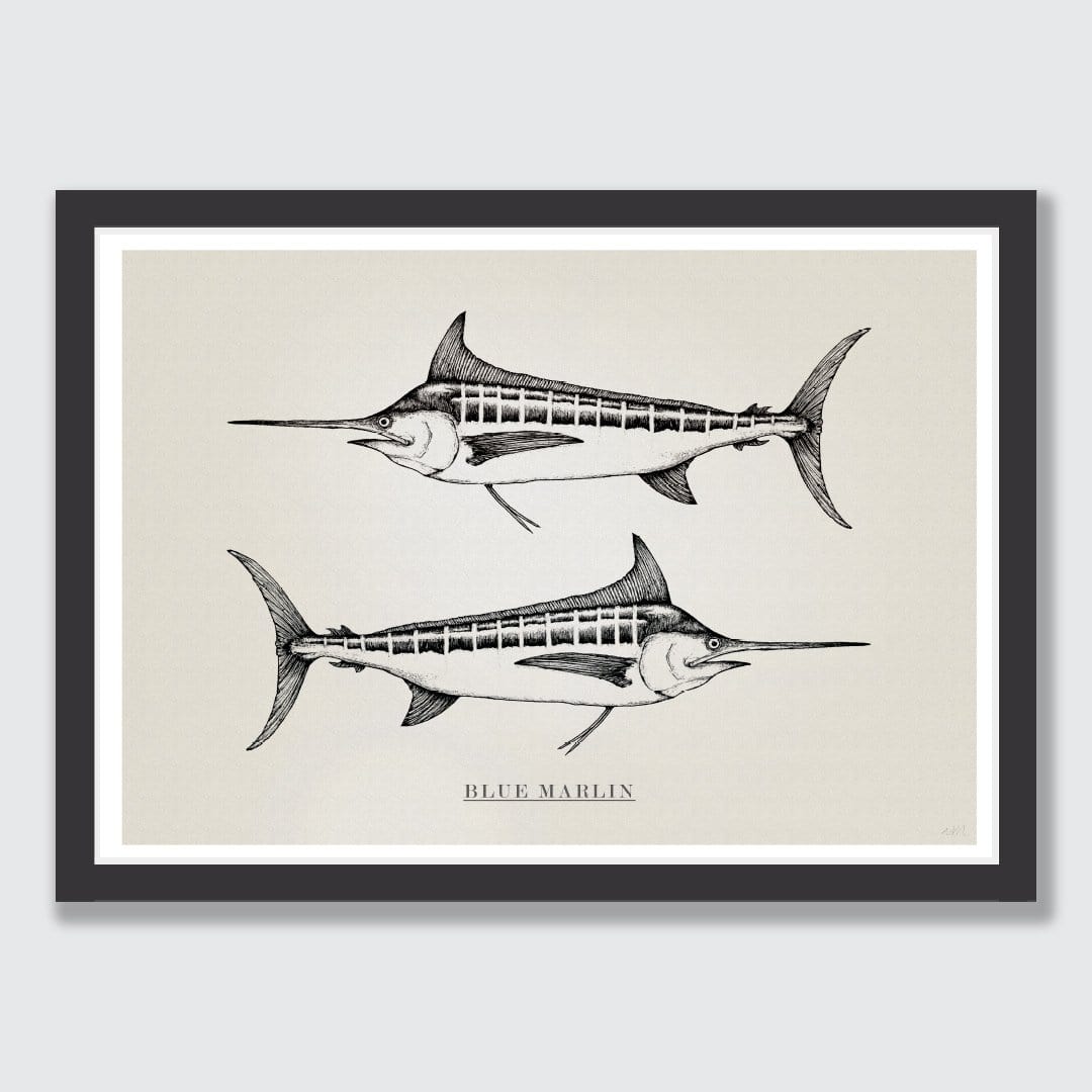 Blue Marlin Art Print by Nathan Miller