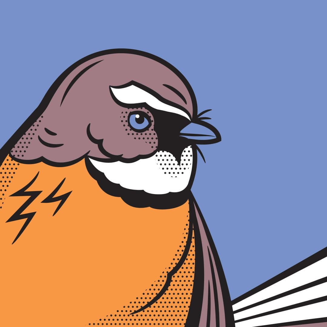 Comic Fantail Art Print by Glenn Jones